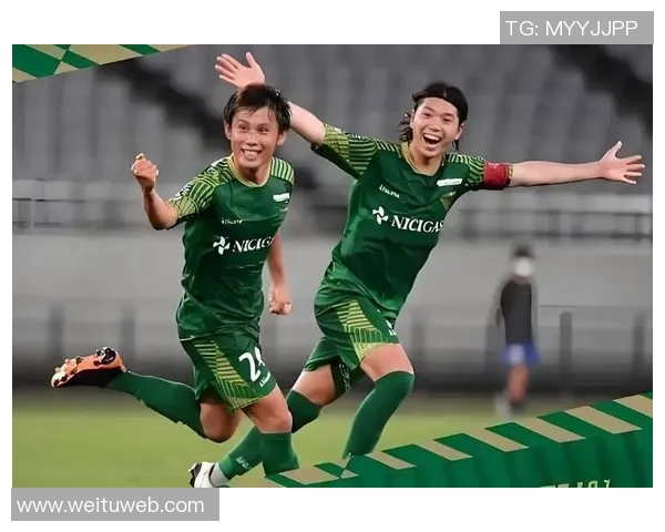 新泻天鹅与富山松鸡的精彩对决揭示日本足球的魅力与竞争力