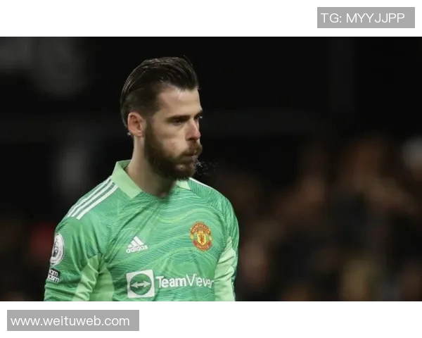 曼联与布莱顿激战正酣詹俊解读比赛精彩瞬间与战术分析