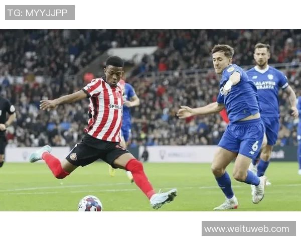 西布朗主场迎战谢菲尔德联全力争胜展现球队实力与斗志